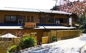 美吉野桜庵